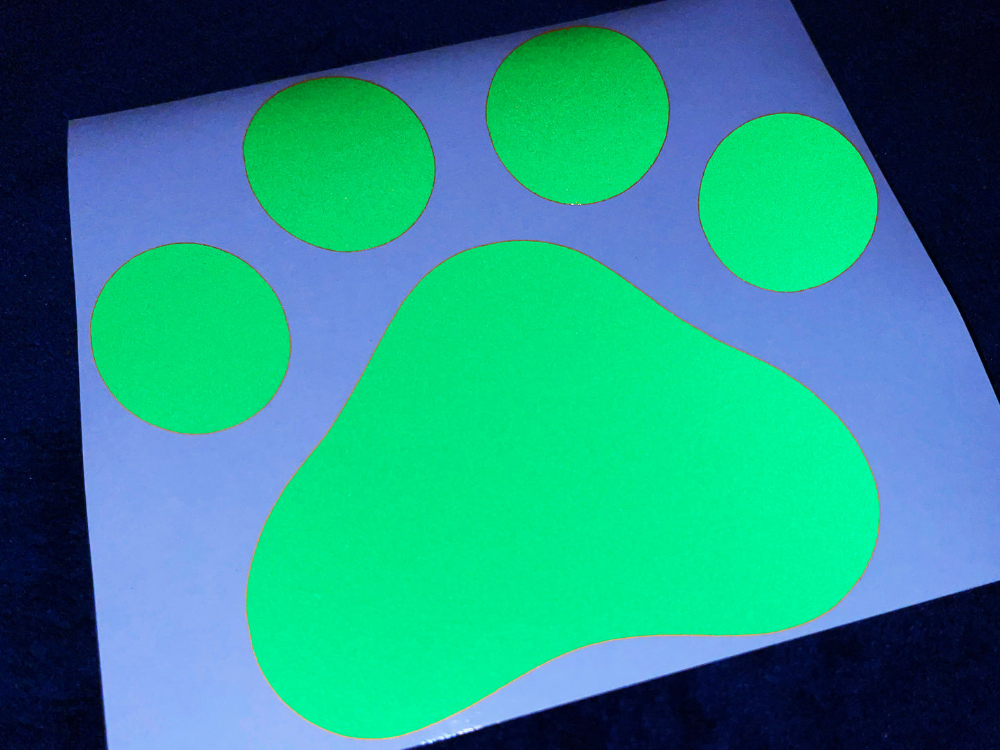 Valueviz Reflective Paw Print (Large) Stickers