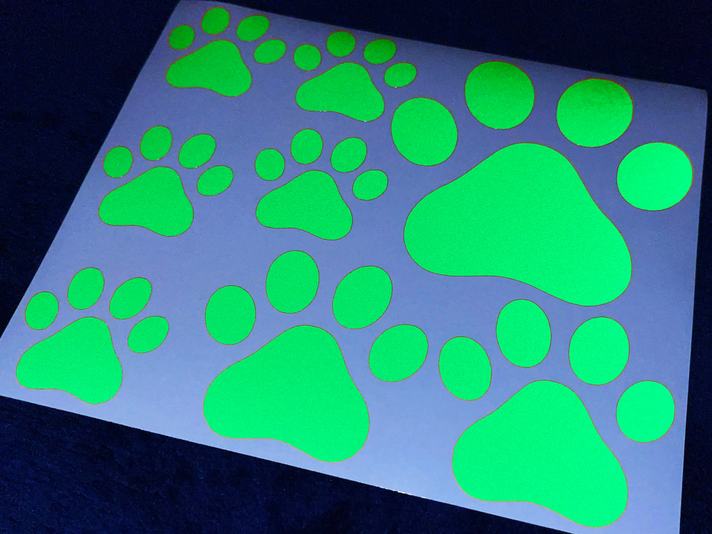 Valueviz Reflective Paw Print (Assorted) Stickers