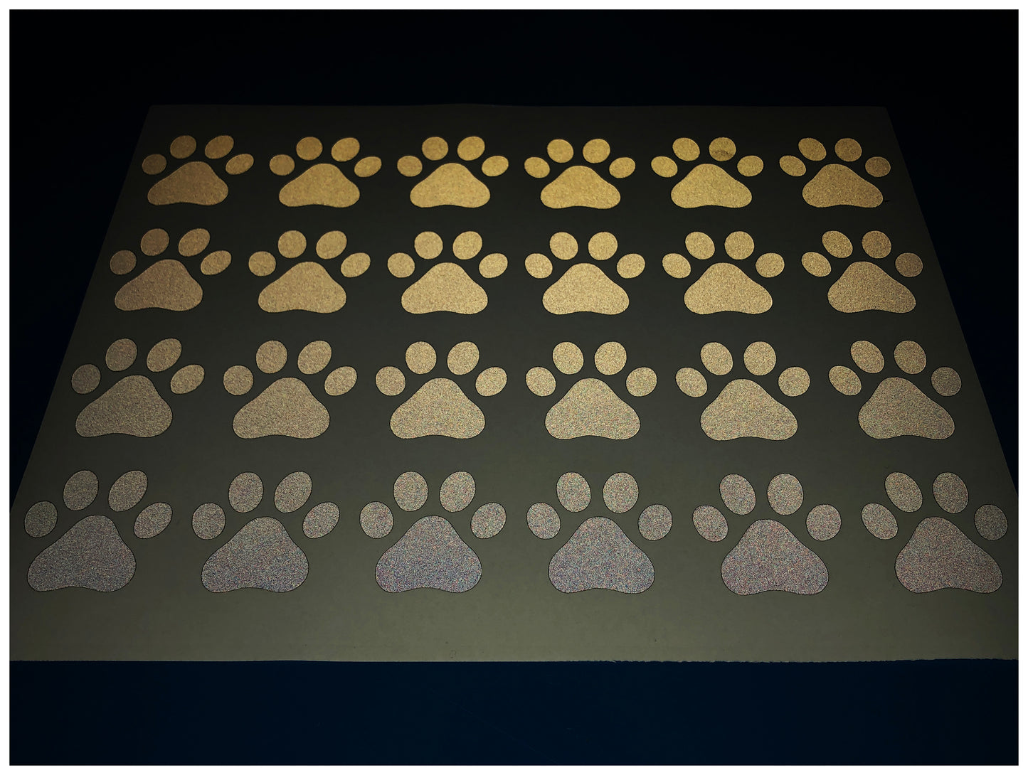 Valueviz Reflective Paw Print A4 Cargo Bike Stickers