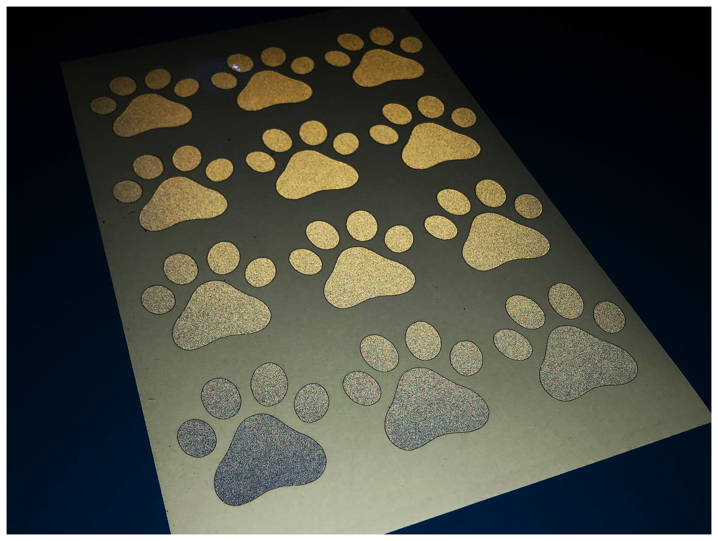 Valueviz Reflective Paw Print A5 Cargo Bike Stickers