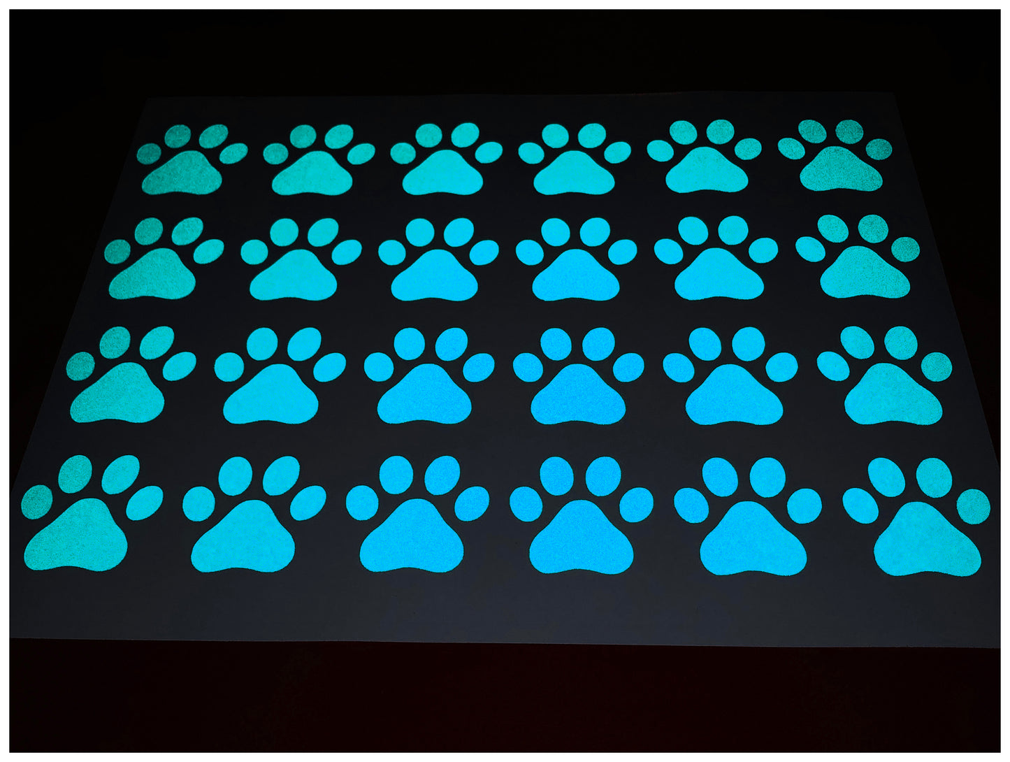 Valueviz Reflective Paw Print A4 Cargo Bike Stickers