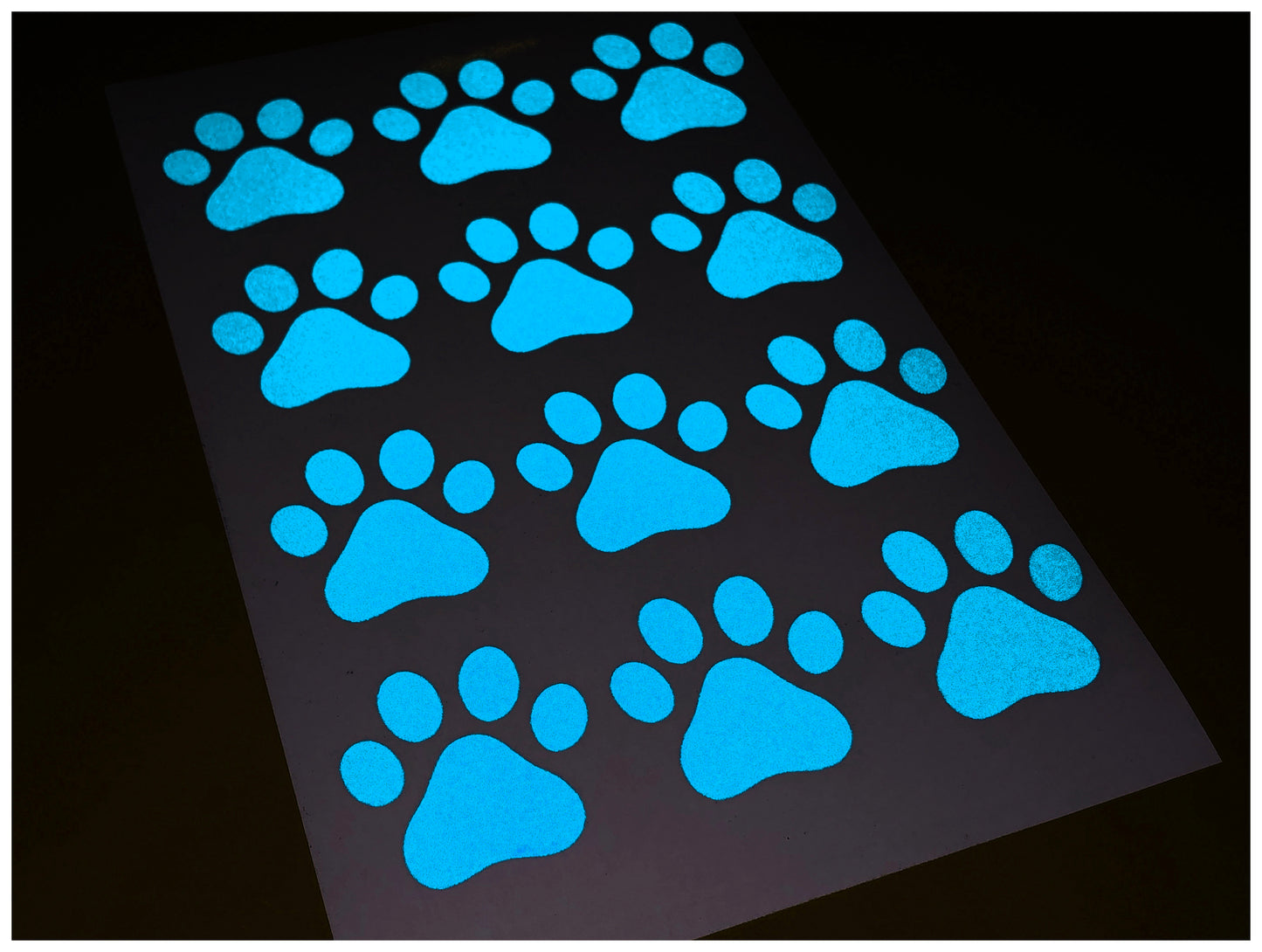 Valueviz Reflective Paw Print A5 Cargo Bike Stickers