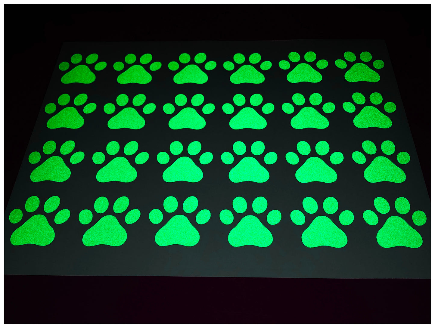 Valueviz Reflective Paw Print A4 Cargo Bike Stickers