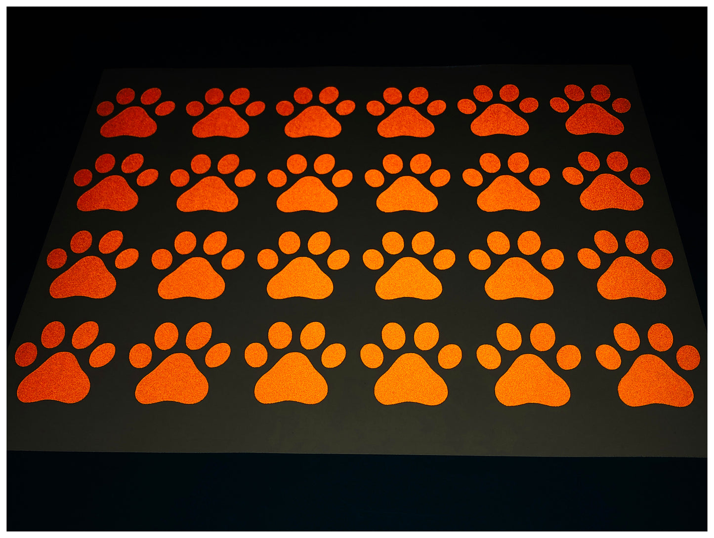 Valueviz Reflective Paw Print A4 Cargo Bike Stickers
