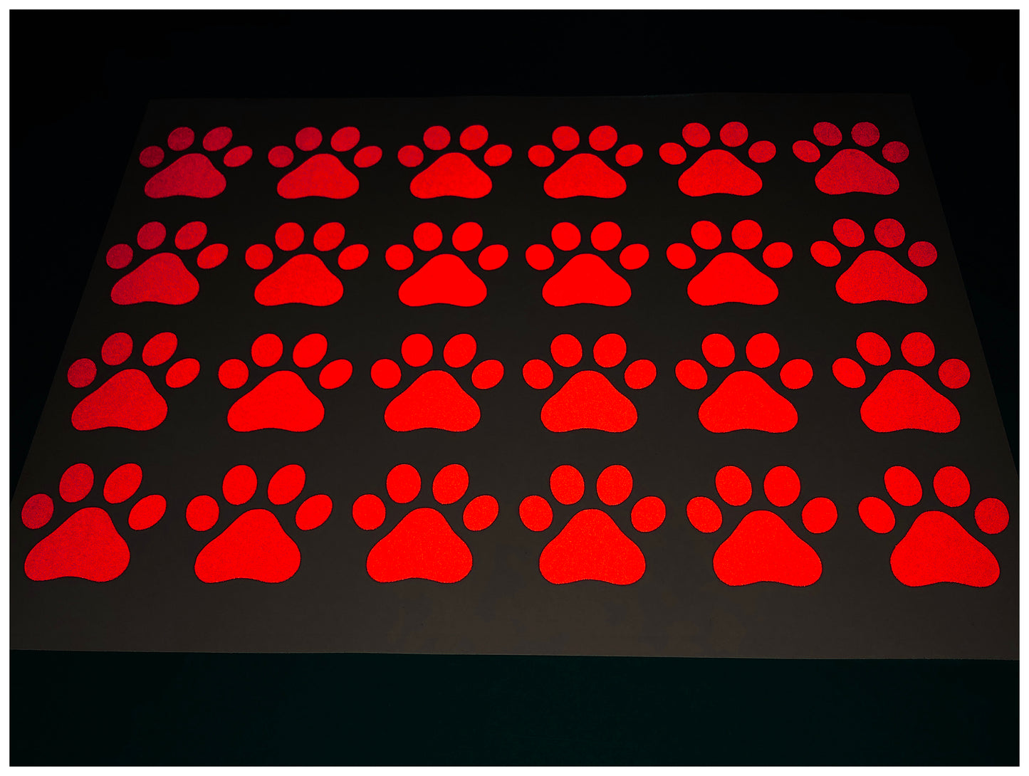 Valueviz Reflective Paw Print A4 Cargo Bike Stickers