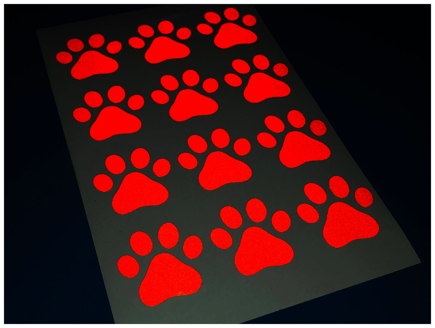 Valueviz Reflective Paw Print A5 Cargo Bike Stickers