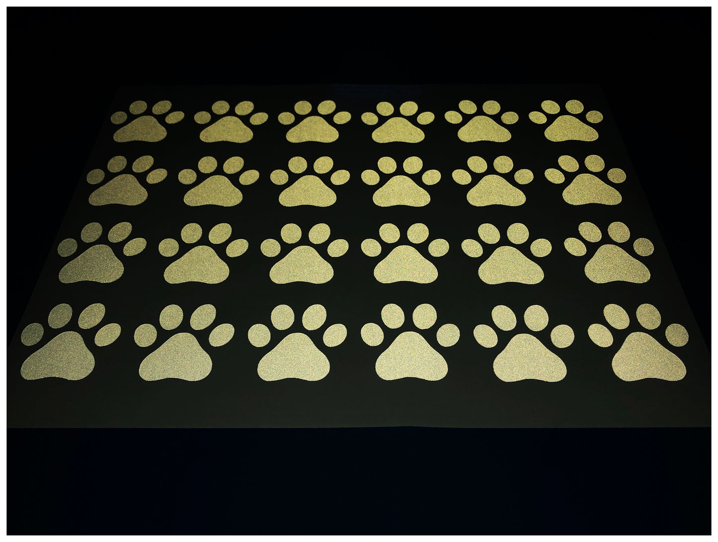 Valueviz Reflective Paw Print A4 Cargo Bike Stickers