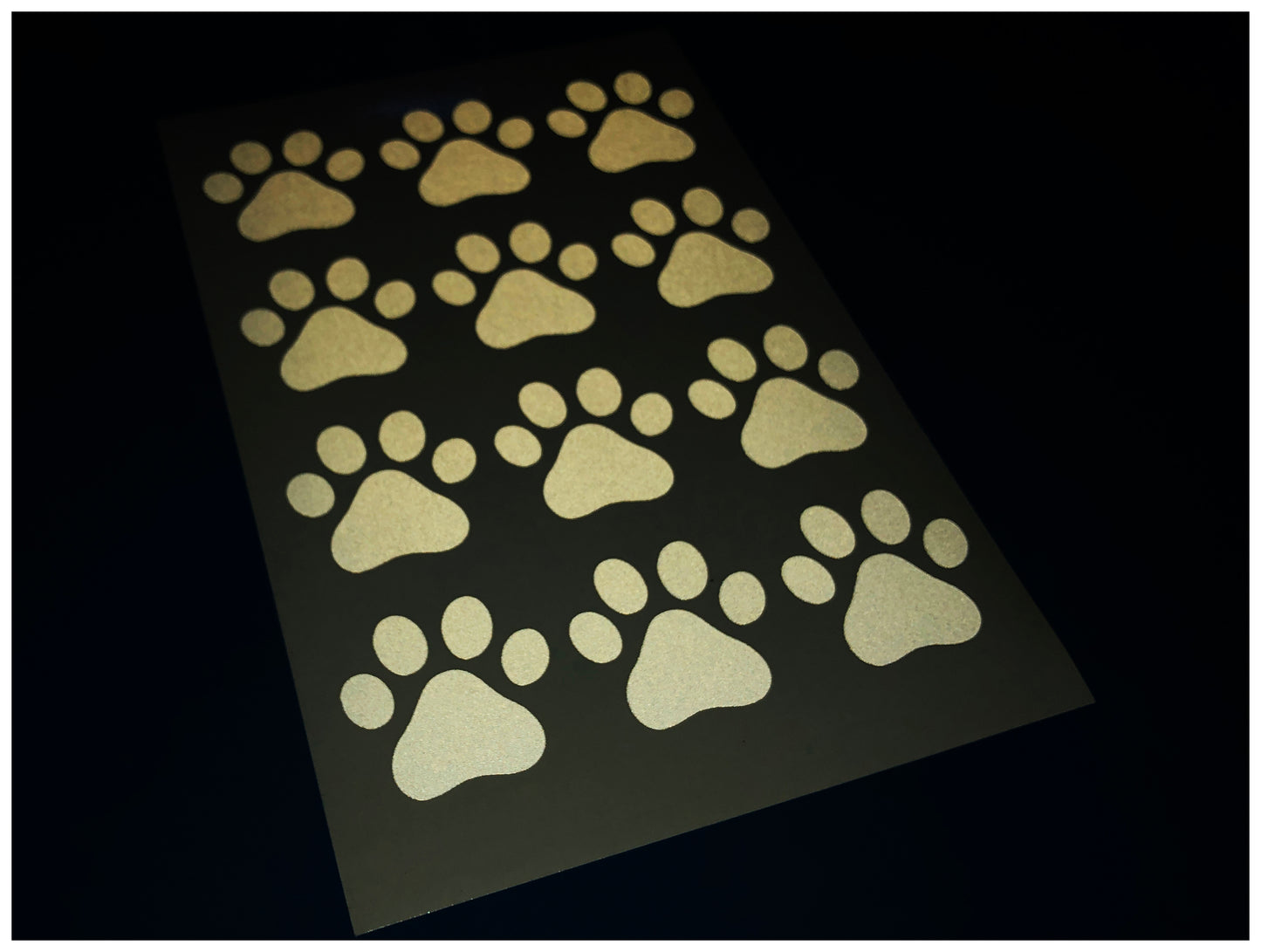 Valueviz Reflective Paw Print A5 Cargo Bike Stickers