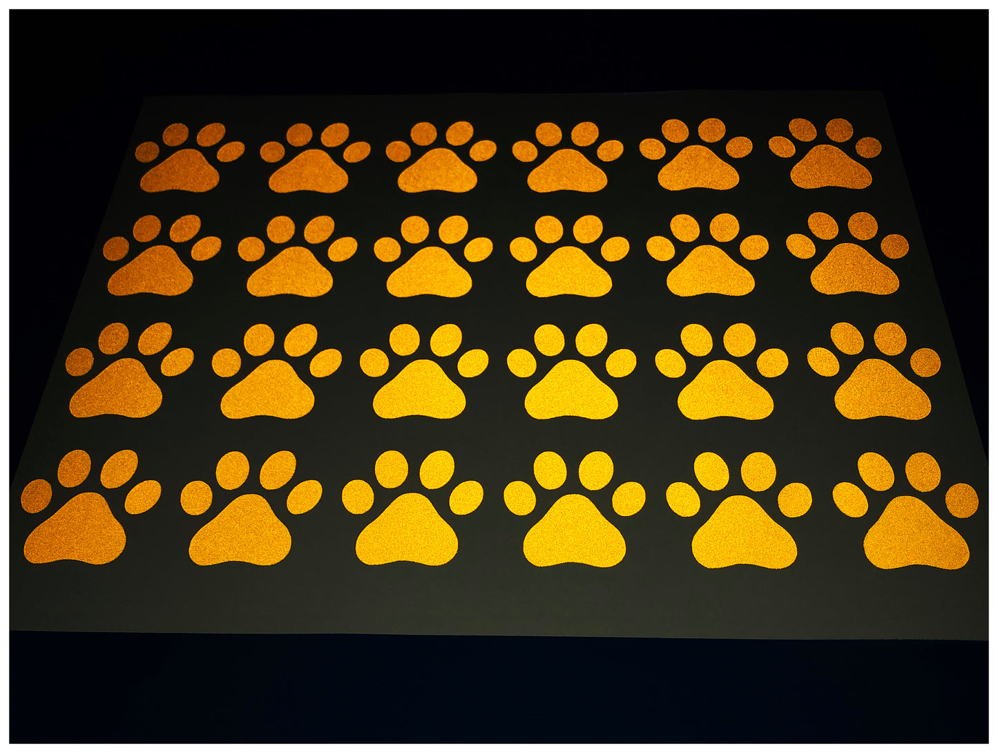 Valueviz Reflective Paw Print A4 Cargo Bike Stickers