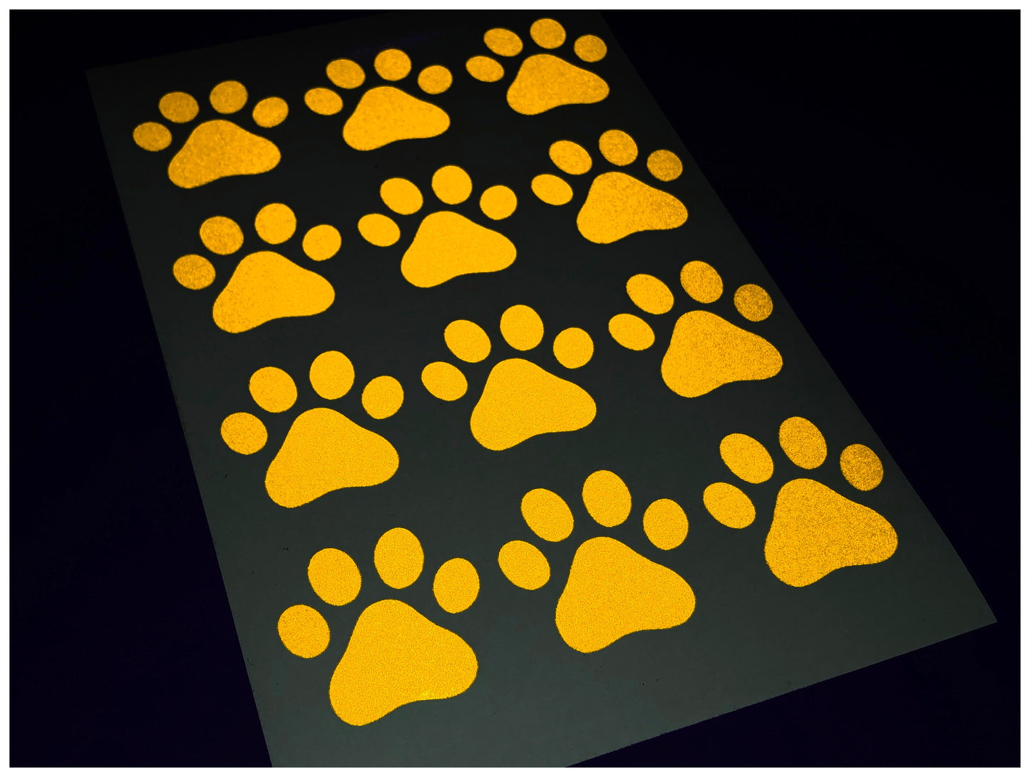 Valueviz Reflective Paw Print A5 Cargo Bike Stickers