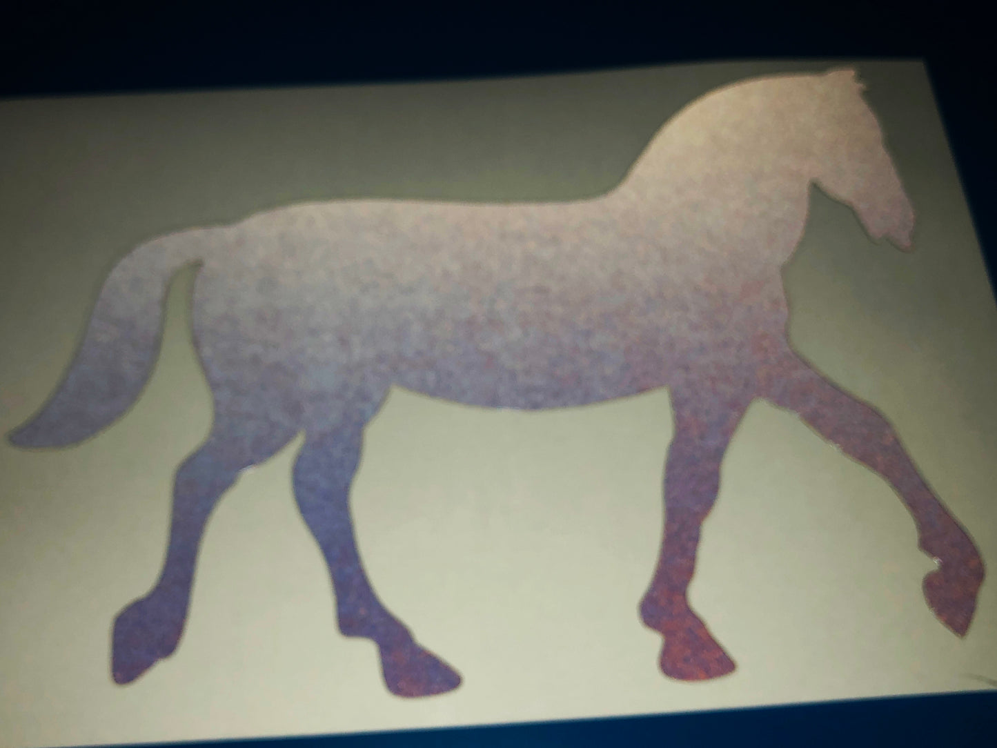Valueviz Reflective Horse (LARGE) Stickers