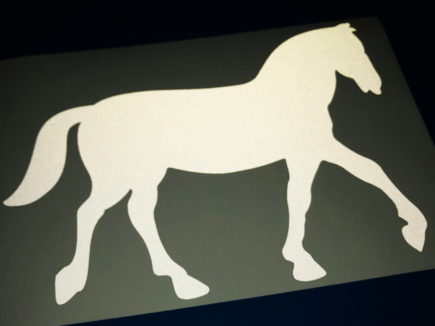 Valueviz Reflective Horse (LARGE) Stickers
