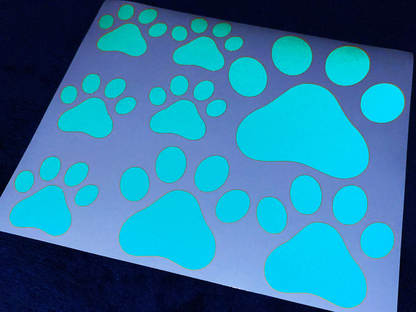 Valueviz Reflective Paw Print (Assorted) Stickers