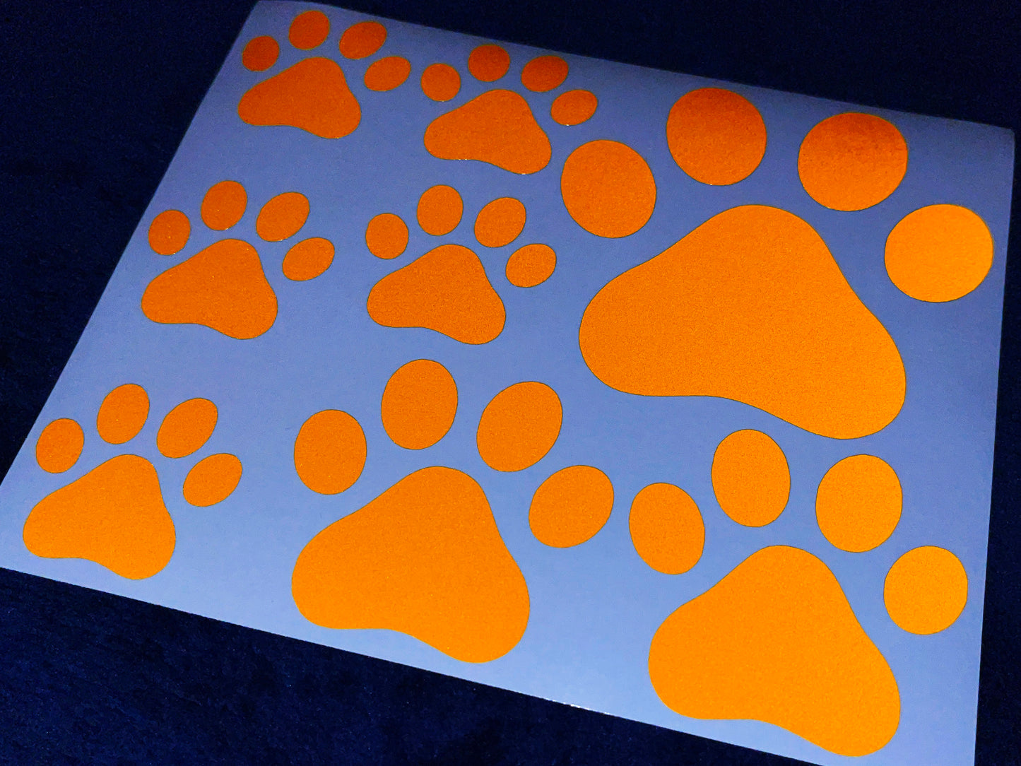 Valueviz Reflective Paw Print (Assorted) Stickers