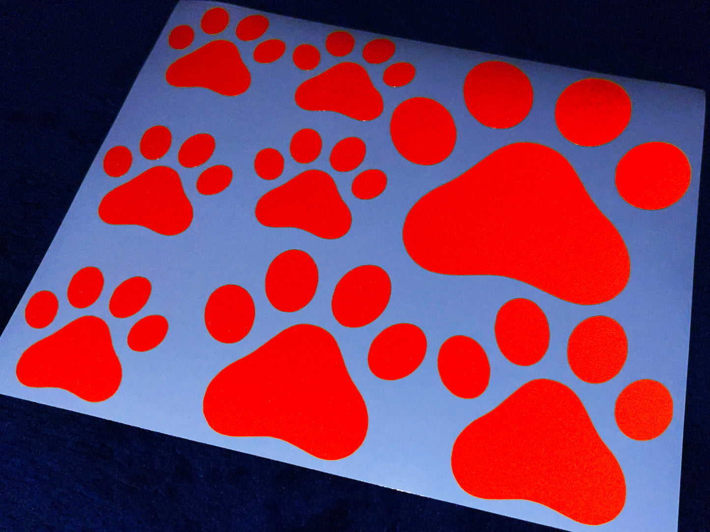 Valueviz Reflective Paw Print (Assorted) Stickers