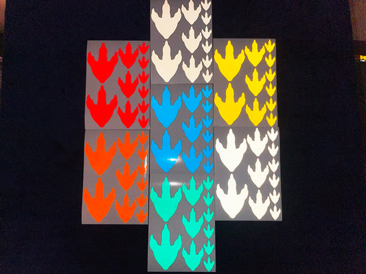 Valueviz Dinosaur Footprint (Assortment) Stickers