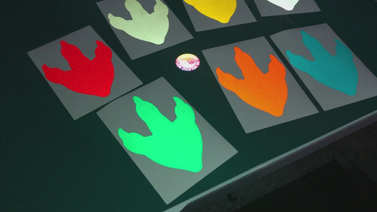 Valueviz Dinosaur Footprint (Extra Large) Stickers