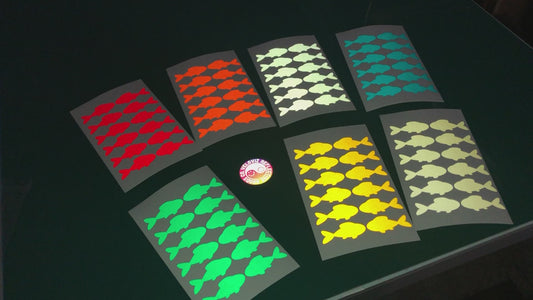 Valueviz Fish (Medium) Stickers